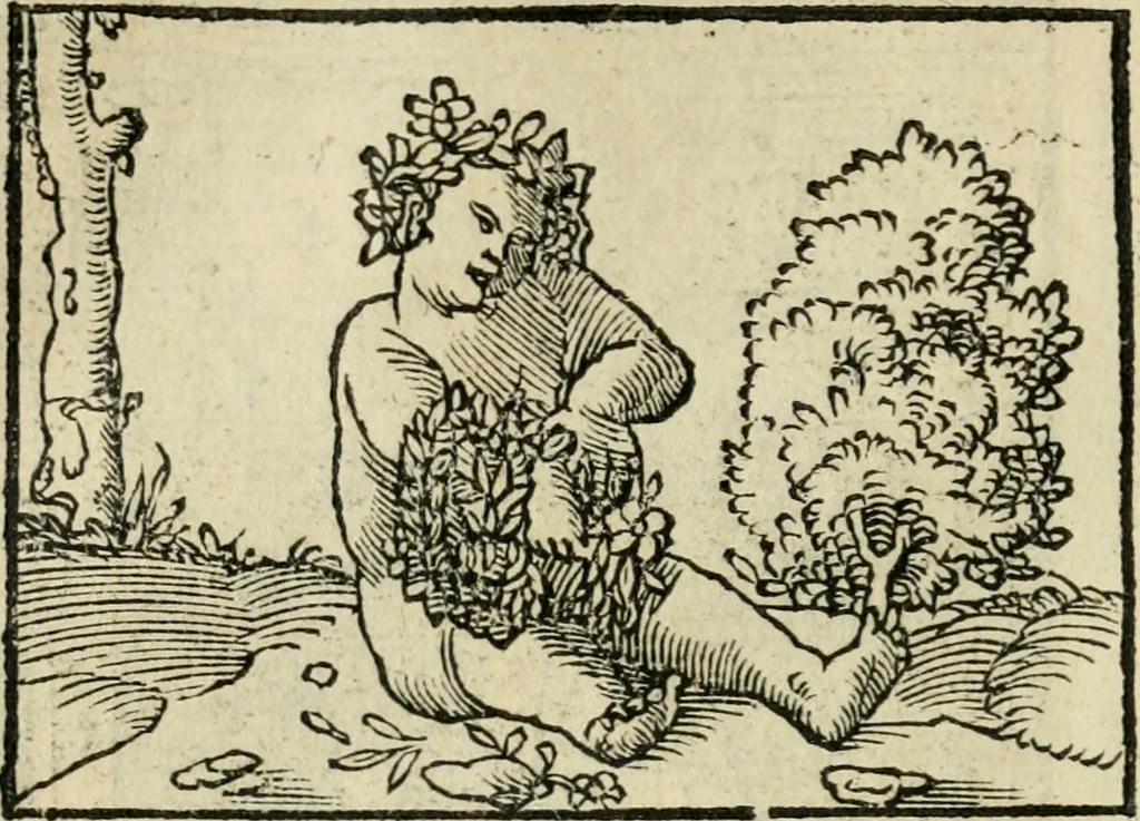 An illustration from Andreae Alciati emblematvm libellvs, 1536, leaf 91