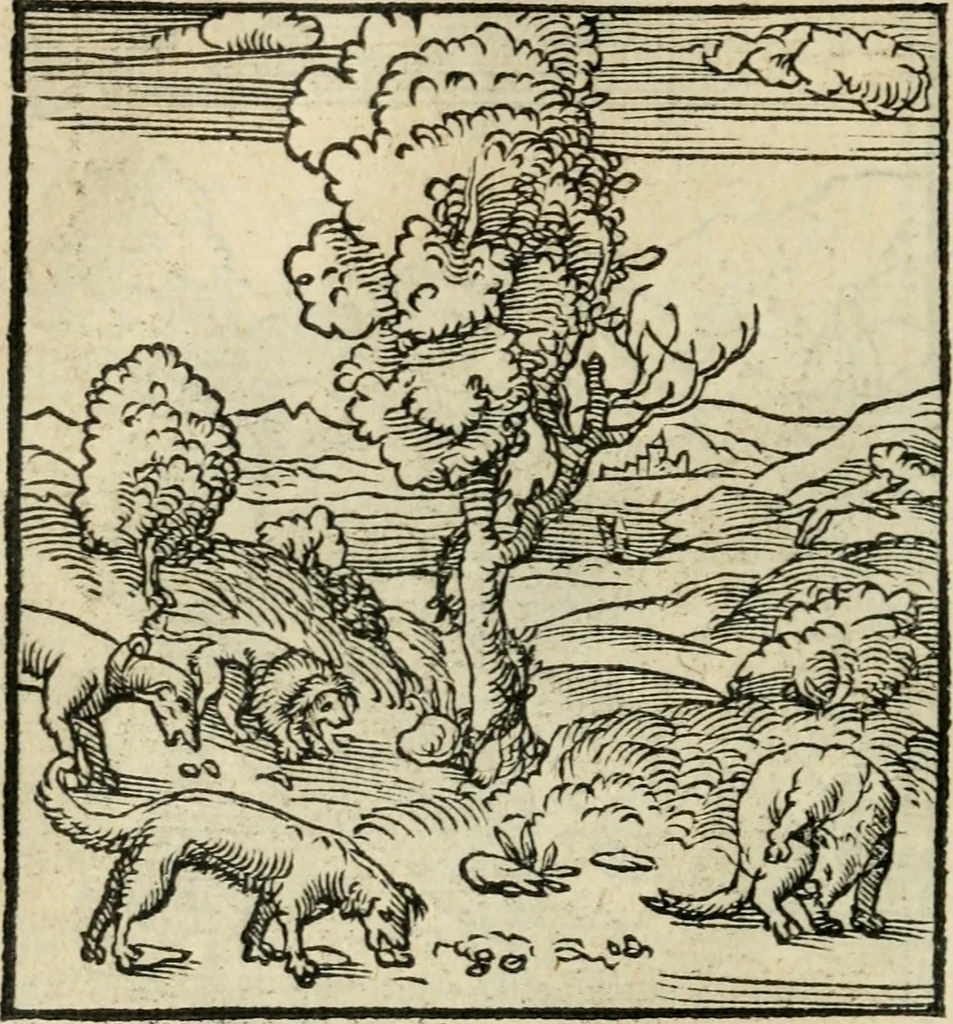 An illustration from Andreae Alciati emblematvm libellvs, 1536, leaf 95