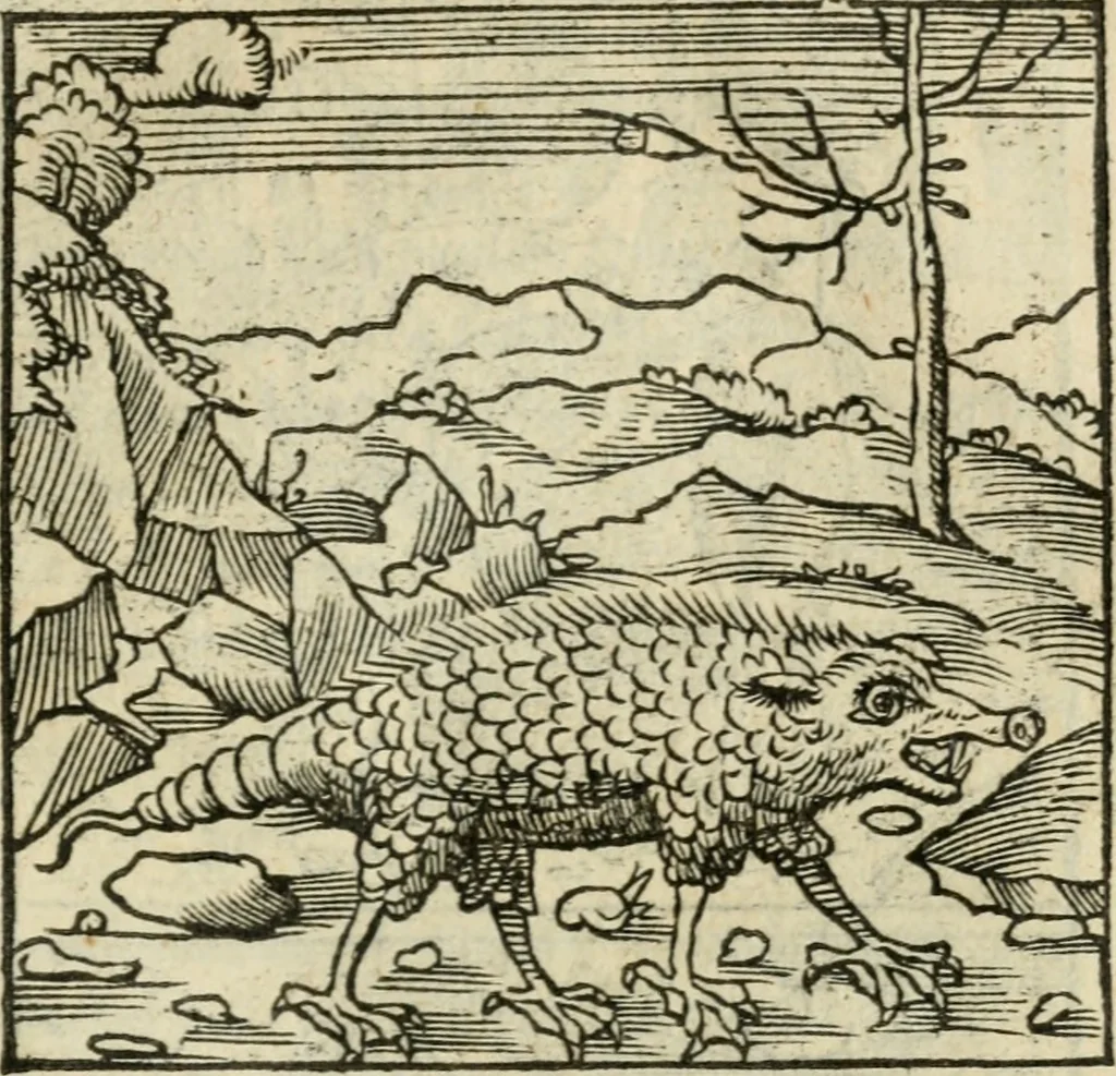 An illustration from Andreae Alciati emblematvm libellvs, 1536, leaf 98
