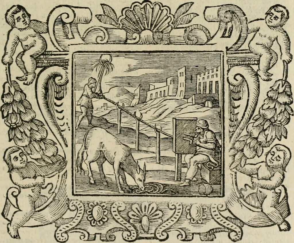 An illustration from Andreae Alciati Emblemata cum commentariis Claudii Minois I.C. Francisci Sanctii Brocensis, & notis Laurentij Pignorij Patavini : nouissima hac editione in continuam vnius commentarij seriem congestis, in certas quasdam quasi classes dispositis, & plusquam dimidia parte auctis, 1661, leaf 476