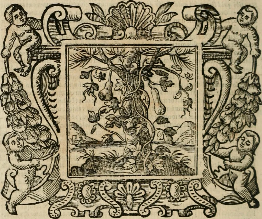 An illustration from Andreae Alciati Emblemata cum commentariis Claudii Minois I.C. Francisci Sanctii Brocensis, & notis Laurentij Pignorij Patavini : nouissima hac editione in continuam vnius commentarij seriem congestis, in certas quasdam quasi classes dispositis, & plusquam dimidia parte auctis, 1661, leaf 621