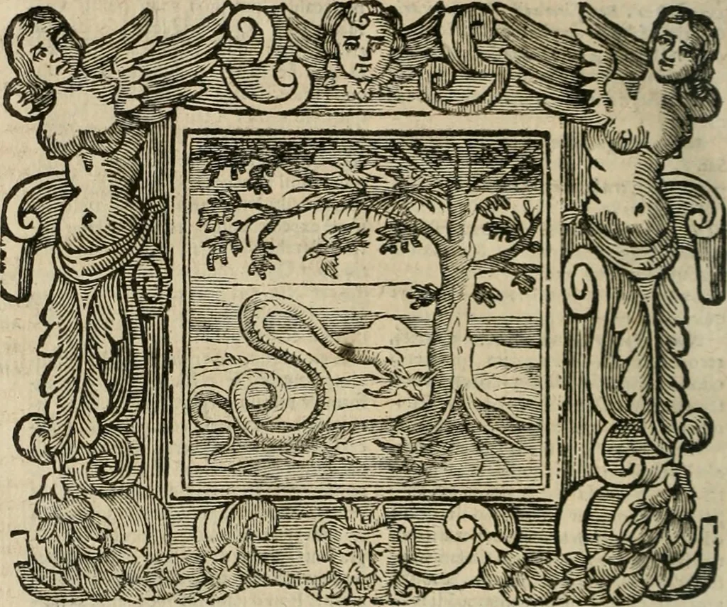 An illustration from Andreae Alciati Emblemata cum commentariis Claudii Minois I.C. Francisci Sanctii Brocensis, & notis Laurentij Pignorij Patavini : nouissima hac editione in continuam vnius commentarij seriem congestis, in certas quasdam quasi classes dispositis, & plusquam dimidia parte auctis, 1661, leaf 647