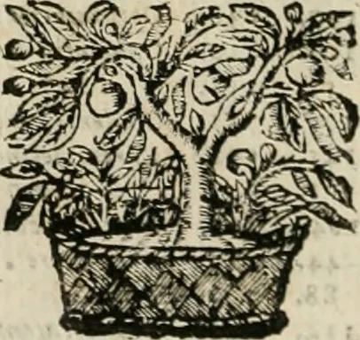 An illustration from Andreae Alciati Emblemata cum commentariis Claudii Minois I.C. Francisci Sanctii Brocensis, & notis Laurentij Pignorij Patavini : nouissima hac editione in continuam vnius commentarij seriem congestis, in certas quasdam quasi classes dispositis, & plusquam dimidia parte auctis, 1661, leaf 83