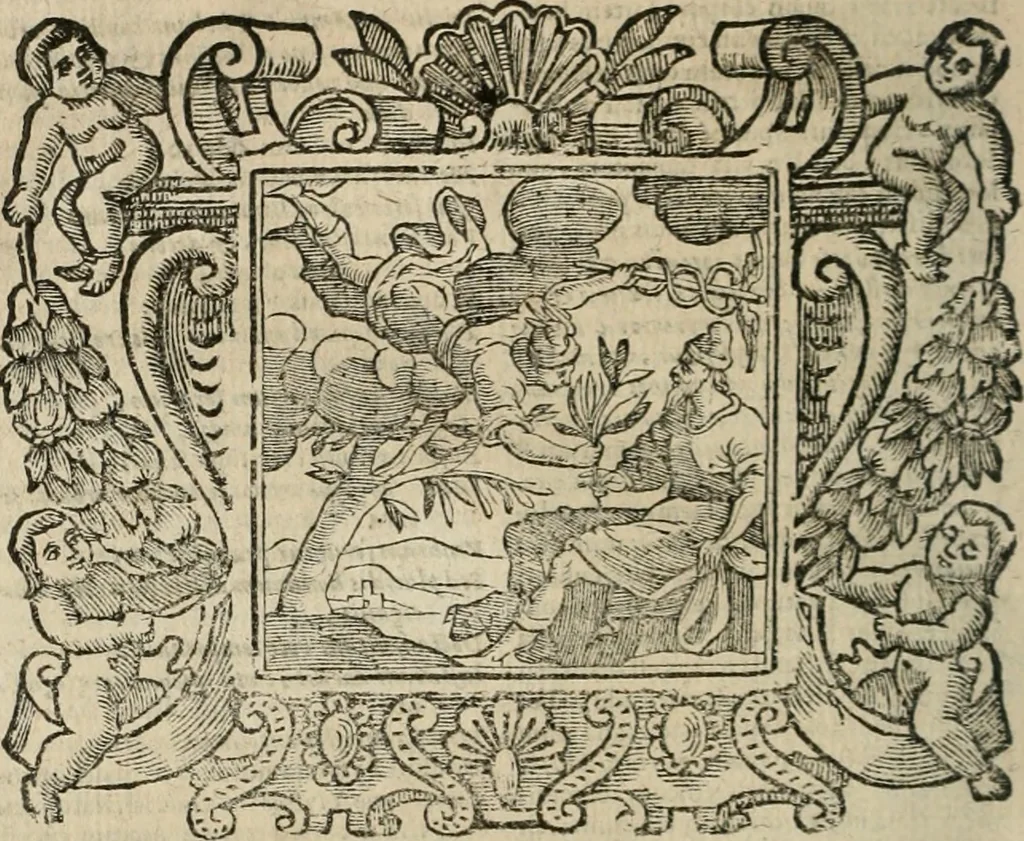 An illustration from Andreae Alciati Emblemata cum commentariis Claudii Minois I.C. Francisci Sanctii Brocensis, & notis Laurentij Pignorij Patavini : nouissima hac editione in continuam vnius commentarij seriem congestis, in certas quasdam quasi classes dispositis, & plusquam dimidia parte auctis, 1661, leaf 841