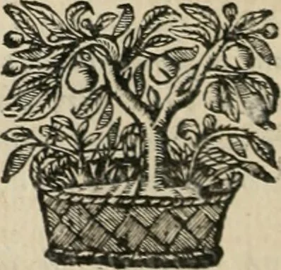 An illustration from Andreae Alciati Emblemata cum commentariis Claudii Minois I.C. Francisci Sanctii Brocensis, & notis Laurentij Pignorij Patavini : nouissima hac editione in continuam vnius commentarij seriem congestis, in certas quasdam quasi classes dispositis, & plusquam dimidia parte auctis, 1661, leaf 9