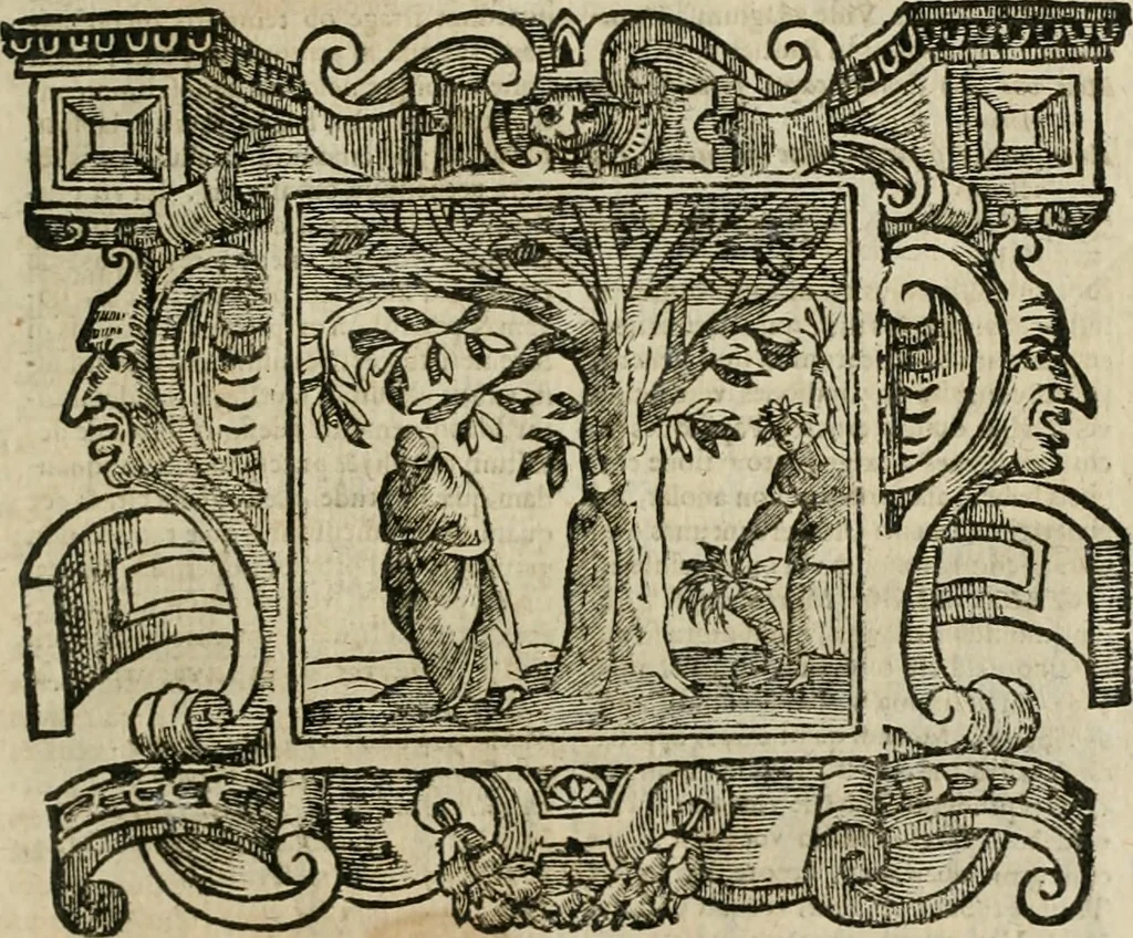 An illustration from Andreae Alciati Emblemata cum commentariis Claudii Minois I.C. Francisci Sanctii Brocensis, & notis Laurentij Pignorij Patavini : nouissima hac editione in continuam vnius commentarij seriem congestis, in certas quasdam quasi classes dispositis, & plusquam dimidia parte auctis, 1661, leaf 962