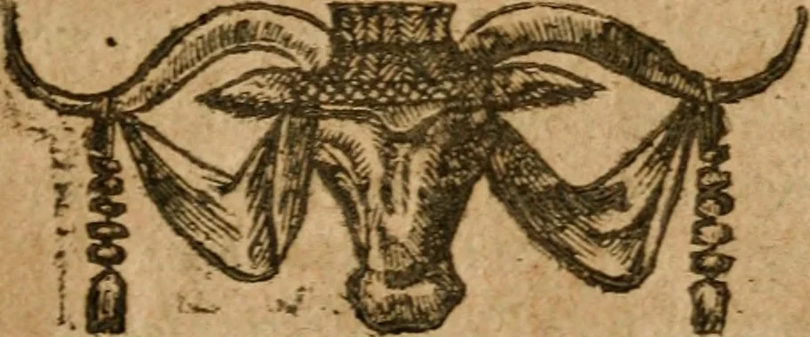 An illustration from Andreae Alciati i.v.c. emblemata, 1614, leaf 110