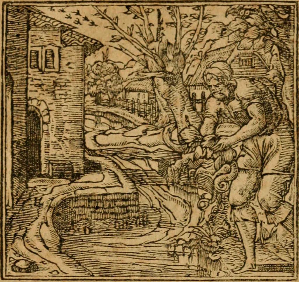 An illustration from Andreae Alciati i.v.c. emblemata, 1614, leaf 145