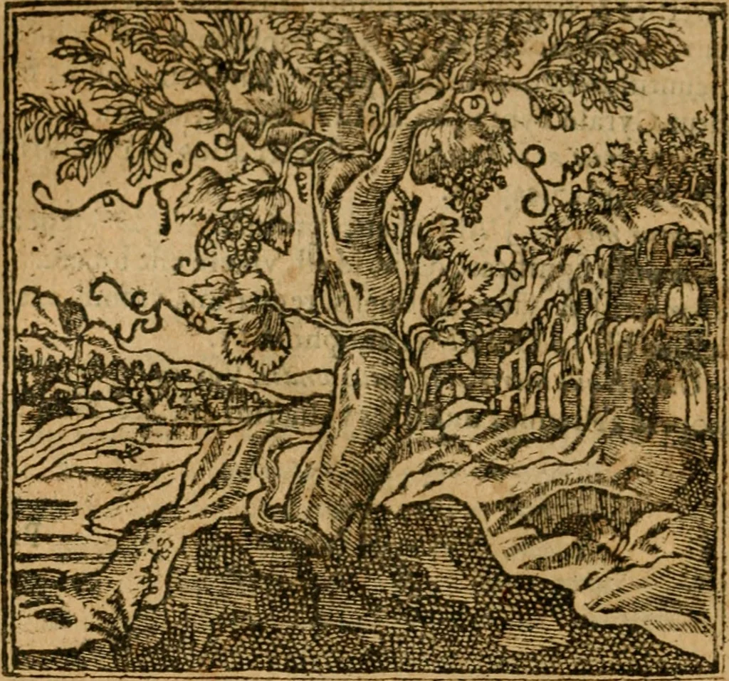 An illustration from Andreae Alciati i.v.c. emblemata, 1614, leaf 155