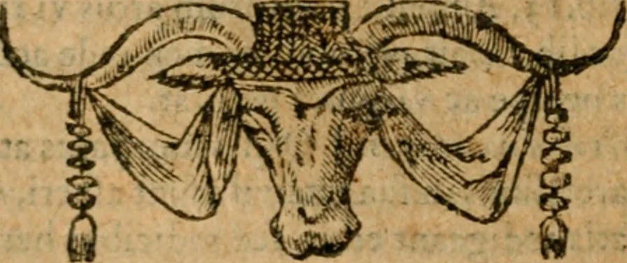 An illustration from Andreae Alciati i.v.c. emblemata, 1614, leaf 213