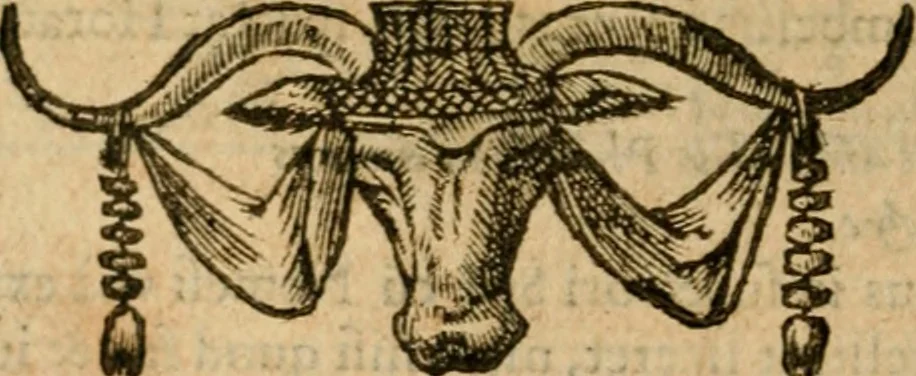 An illustration from Andreae Alciati i.v.c. emblemata, 1614, leaf 241