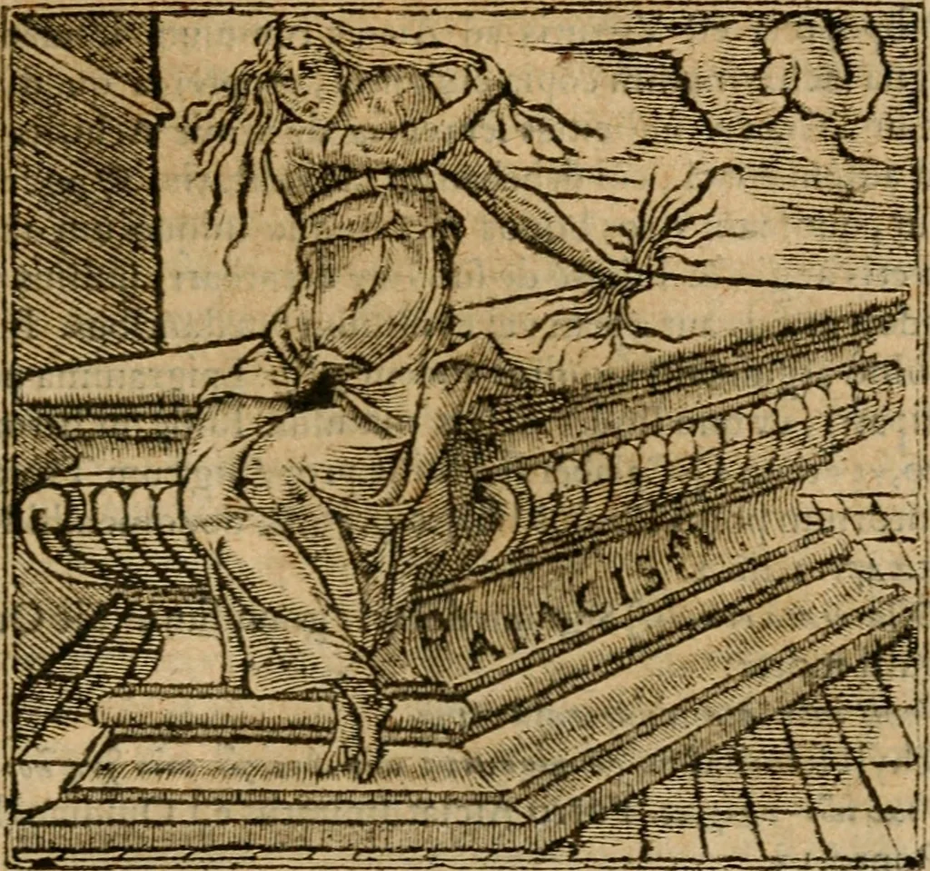 An illustration from Andreae Alciati i.v.c. emblemata, 1614, leaf 244