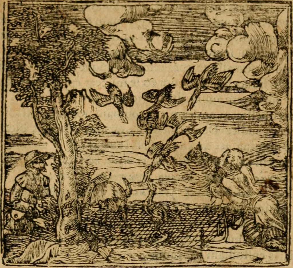 An illustration from Andreae Alciati i.v.c. emblemata, 1614, leaf 251