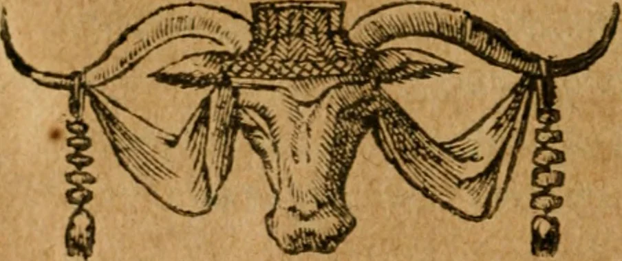 An illustration from Andreae Alciati i.v.c. emblemata, 1614, leaf 293