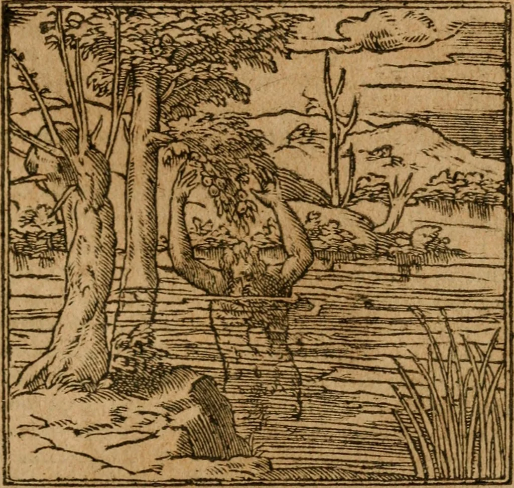 An illustration from Andreae Alciati i.v.c. emblemata, 1614, leaf 352