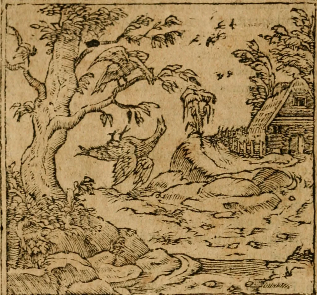 An illustration from Andreae Alciati i.v.c. emblemata, 1614, leaf 375