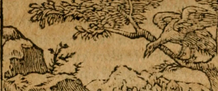 An illustration from Andreae Alciati i.v.c. emblemata, 1614, leaf 493