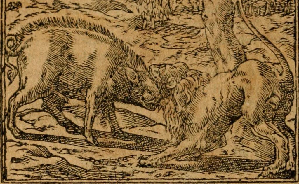An illustration from Andreae Alciati i.v.c. emblemata, 1614, leaf 493