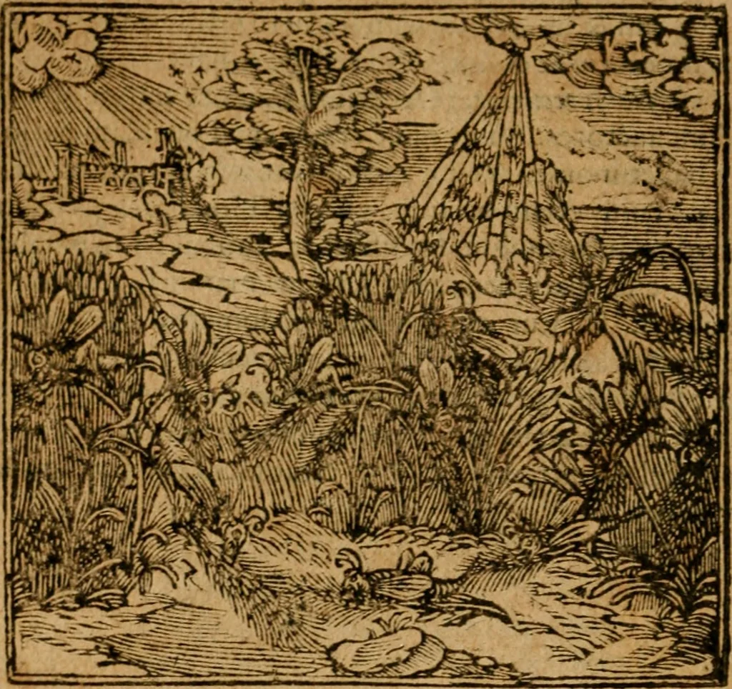 An illustration from Andreae Alciati i.v.c. emblemata, 1614, leaf 499