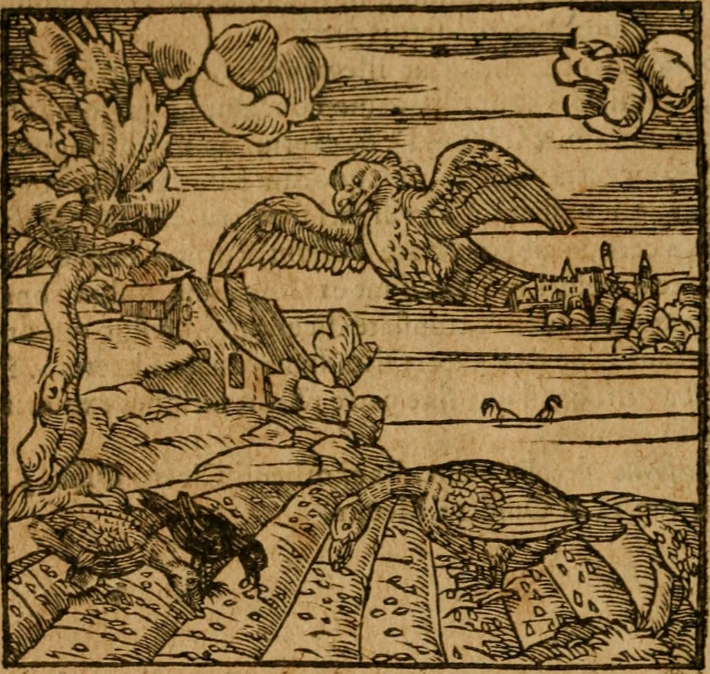 An illustration from Andreae Alciati i.v.c. emblemata, 1614, leaf 543