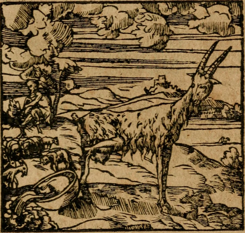 An illustration from Andreae Alciati i.v.c. emblemata, 1614, leaf 546
