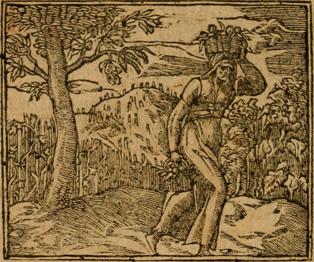 An illustration from Andreae Alciati i.v.c. emblemata, 1614, leaf 551