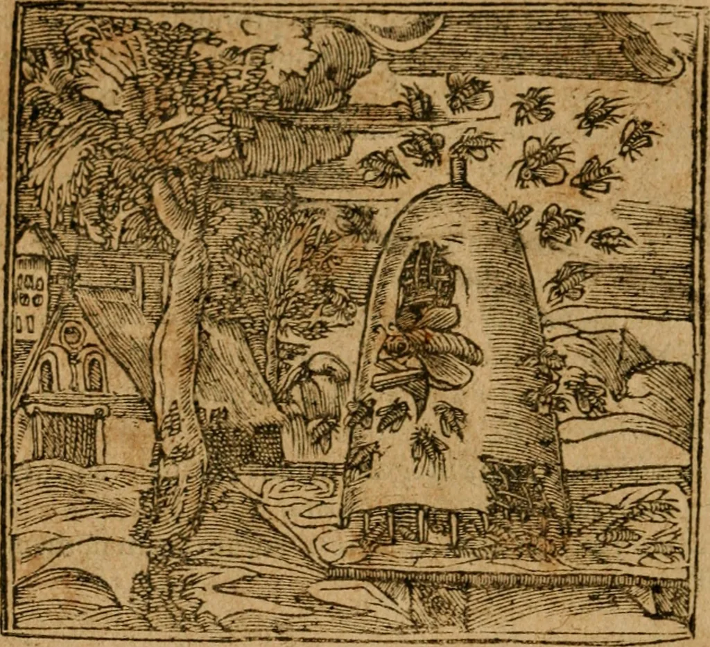 An illustration from Andreae Alciati i.v.c. emblemata, 1614, leaf 569