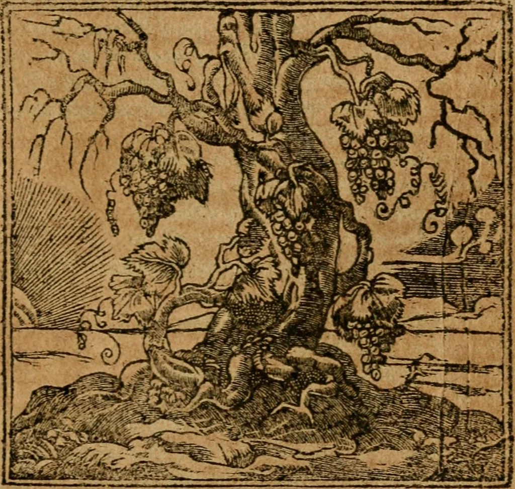 An illustration from Andreae Alciati i.v.c. emblemata, 1614, leaf 596