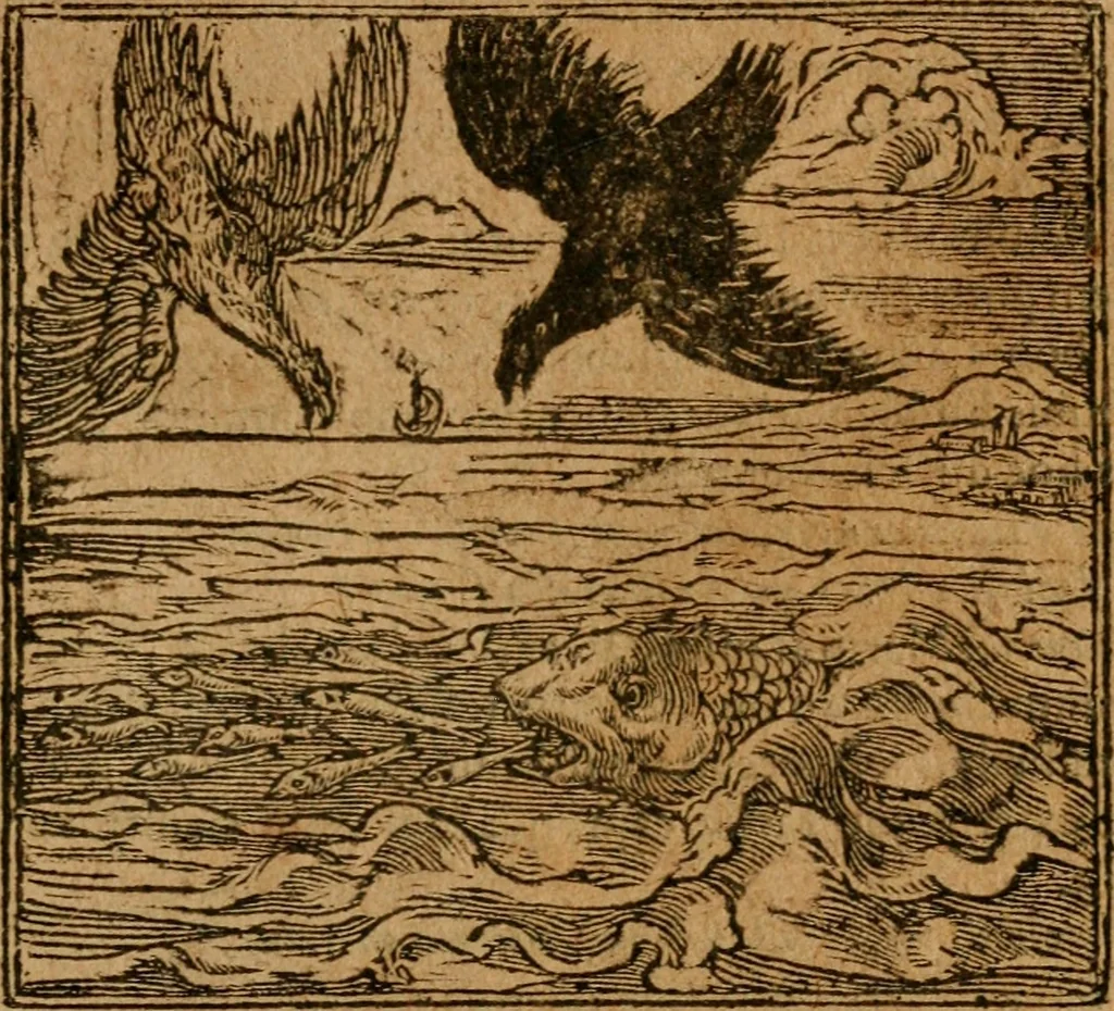 An illustration from Andreae Alciati i.v.c. emblemata, 1614, leaf 624