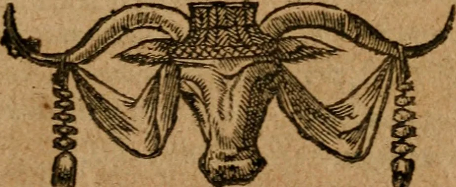 An illustration from Andreae Alciati i.v.c. emblemata, 1614, leaf 640