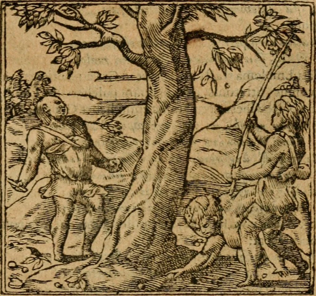 An illustration from Andreae Alciati i.v.c. emblemata, 1614, leaf 704