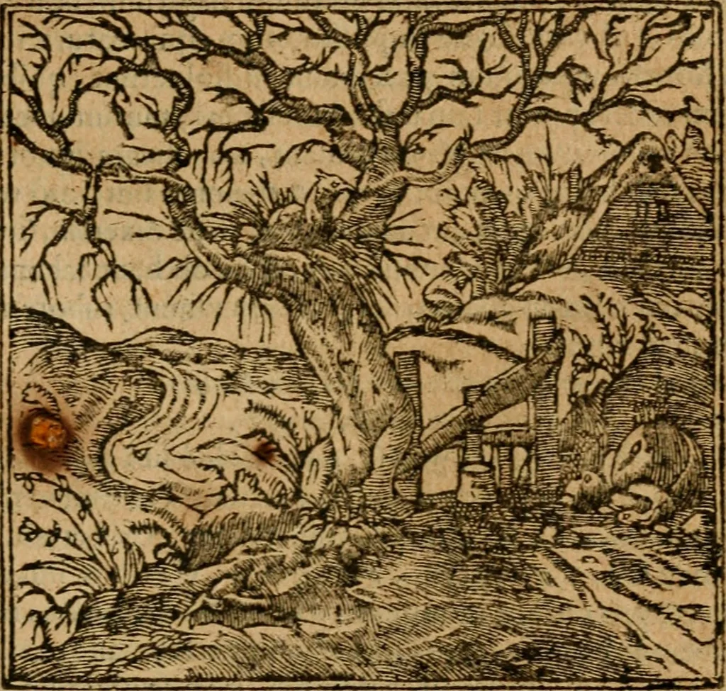 An illustration from Andreae Alciati i.v.c. emblemata, 1614, leaf 706