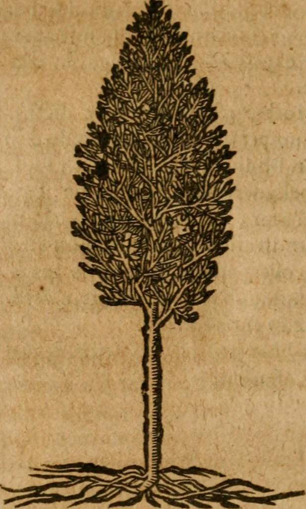 An illustration from Andreae Alciati i.v.c. emblemata, 1614, leaf 723