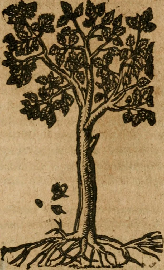 An illustration from Andreae Alciati i.v.c. emblemata, 1614, leaf 726
