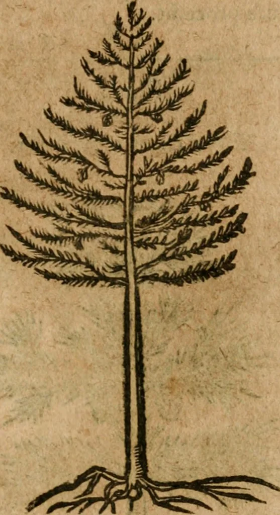 An illustration from Andreae Alciati i.v.c. emblemata, 1614, leaf 730