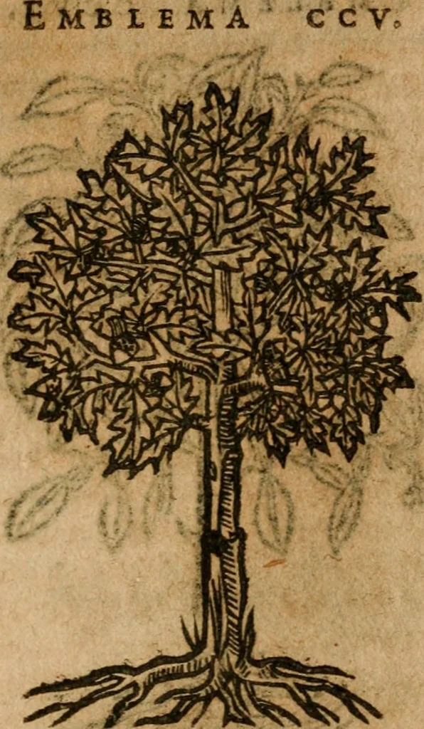 An illustration from Andreae Alciati i.v.c. emblemata, 1614, leaf 736