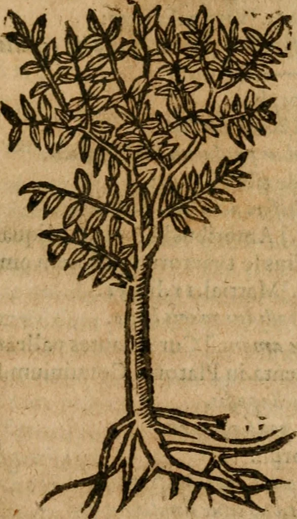 An illustration from Andreae Alciati i.v.c. emblemata, 1614, leaf 738