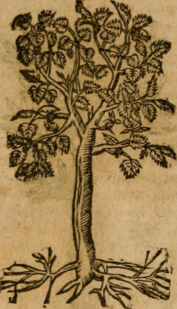 An illustration from Andreae Alciati i.v.c. emblemata, 1614, leaf 743