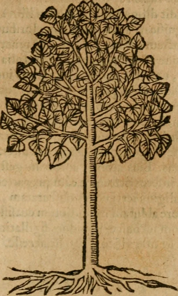 An illustration from Andreae Alciati i.v.c. emblemata, 1614, leaf 746