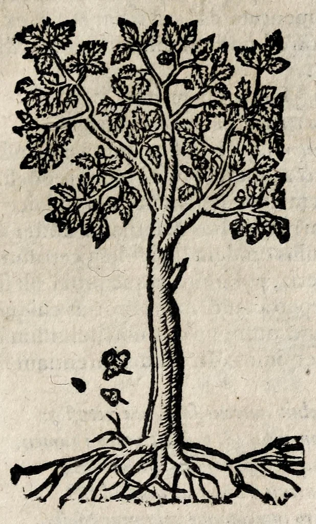 An illustration from Andreae Alciati v.c. Emblemata, 1600, leaf 729