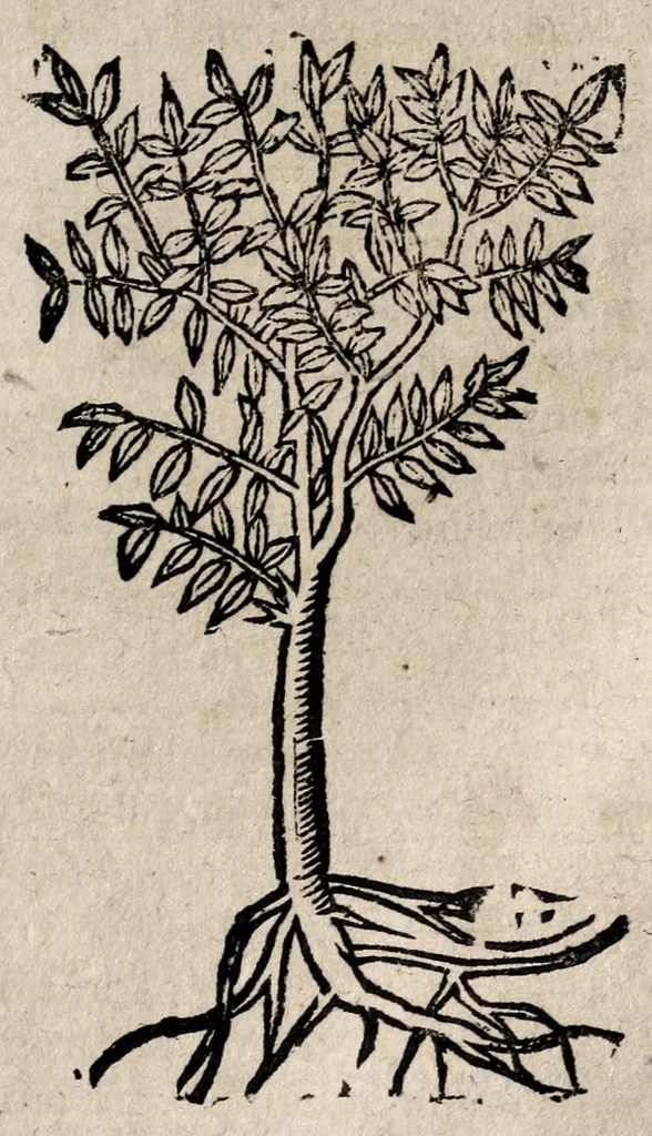 An illustration from Andreae Alciati v.c. Emblemata, 1600, leaf 741