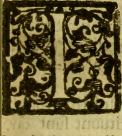 An illustration from Andreae Argoli ... Ephemerides annorum L iuxta Tychonis hypotheses : et accuratè e coelo deductas observationes, ab anno 1630 ad annum 1680, 1638, leaf 120