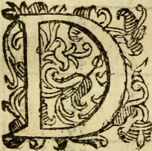An illustration from Andreae Argoli ... Ephemerides annorum L iuxta Tychonis hypotheses : et accuratè e coelo deductas observationes, ab anno 1630 ad annum 1680, 1638, leaf 377