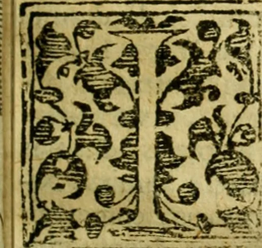 An illustration from Andreae Argoli ... Ephemerides annorum L iuxta Tychonis hypotheses : et accuratè e coelo deductas observationes, ab anno 1630 ad annum 1680, 1638, leaf 46
