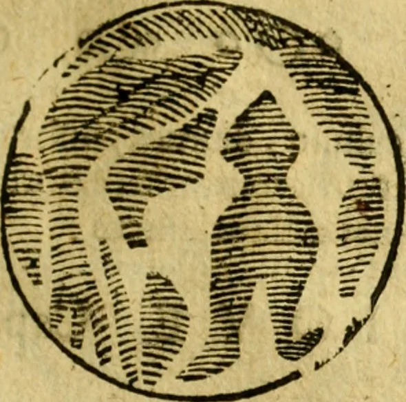 An illustration from Andreae Argoli ... Ephemerides annorum L iuxta Tychonis hypotheses : et accuratè e coelo deductas observationes, ab anno 1630 ad annum 1680, 1638, leaf 68