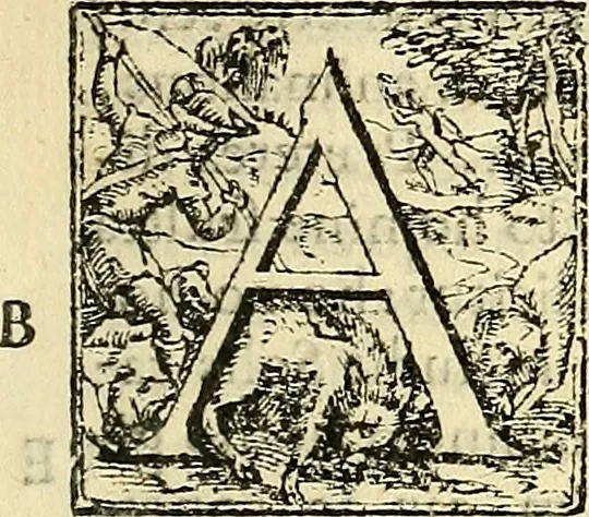 An illustration from Andreae Caesalpini Aretini ... Peripateticarum quaestionum libri quinque : ad potentissimum & felicissimum Franciscum Medicen Florentiae et senarum principem, 1571, leaf 214