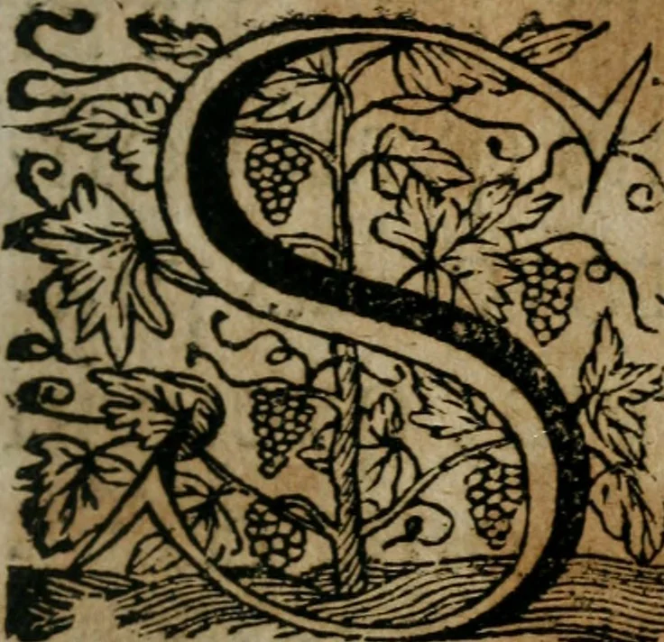 An illustration from Andreae Christophori Róseneri Tractatus juridicus de libris mercatorum von denen Handels-Büchern. In qvo perutilis haec tam seriem causarum dilucidè traditur, ac collegiorum juridicorum responsis illustratur, cum summariis rerumq; ac verborum indice, 1694, leaf 10