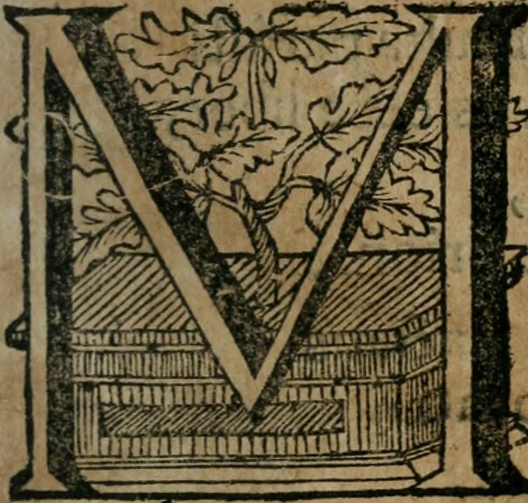 An illustration from Andreae Christophori Róseneri Tractatus juridicus de libris mercatorum von denen Handels-Büchern. In qvo perutilis haec tam seriem causarum dilucidè traditur, ac collegiorum juridicorum responsis illustratur, cum summariis rerumq; ac verborum indice, 1694, leaf 14