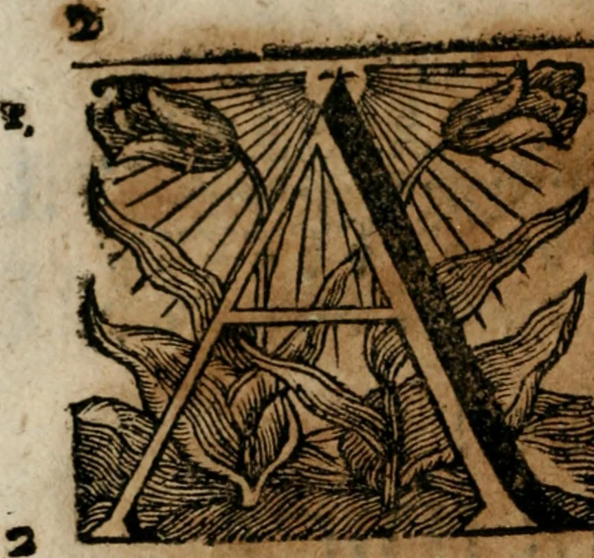An illustration from Andreae Christophori Róseneri Tractatus juridicus de libris mercatorum von denen Handels-Büchern. In qvo perutilis haec tam seriem causarum dilucidè traditur, ac collegiorum juridicorum responsis illustratur, cum summariis rerumq; ac verborum indice, 1694, leaf 19