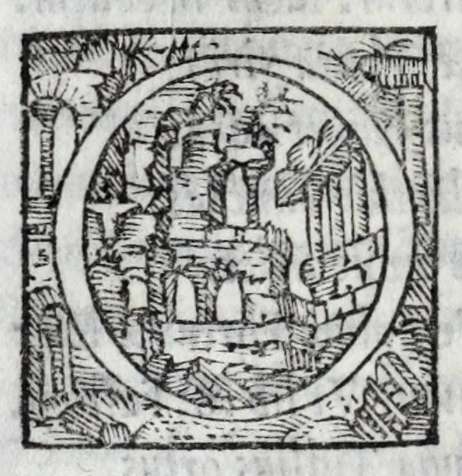 An illustration from Andreae Fuluii Sabini antiquarii De Vrbis antiquitatibus libri quinque ; item, De Vrbis eiusdem laudibus oratio ; In populi Ro. laudem elegeia ; De Romuli, & Remi expositione egloga : quae cuncta, me[n]dis omnibus quib[us] prior editio squallebat : nuper excussa ac repurgata : indice copiosissimo ordinatissimo[que] repposito, 1545, leaf 228